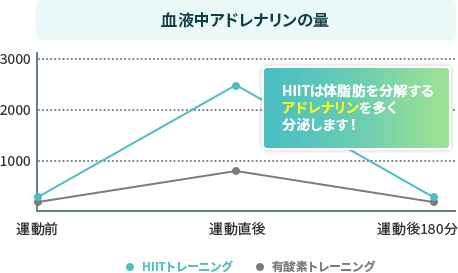 血液中アドレナリンの量